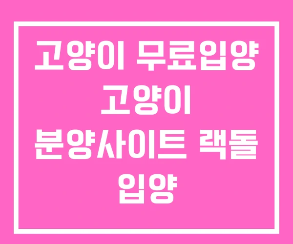 고양이 무료입양 고양이 분양사이트 랙돌 입양