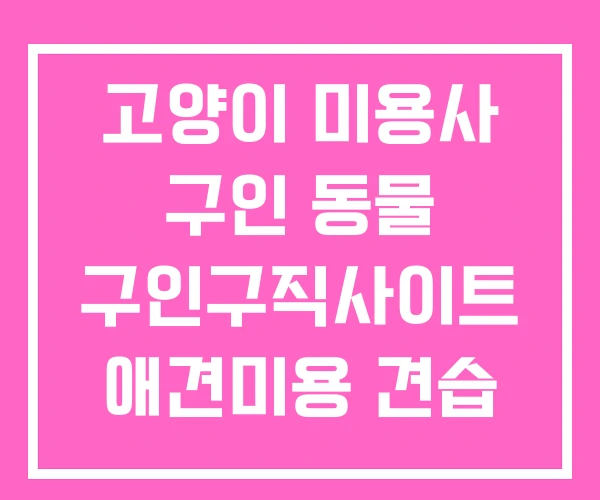 고양이 미용사 구인 동물 구인구직사이트 애견미용 견습 고양이 미용사 구인 동물 구인구직사이트 애견미용 견습
