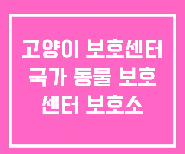 고양이 보호센터 국가 동물 보호 센터 보호소 고양이 보호센터 국가 동물 보호 센터 보호소