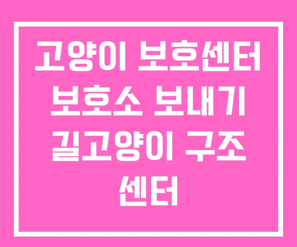 고양이 보호센터 보호소 보내기 길고양이 구조 센터