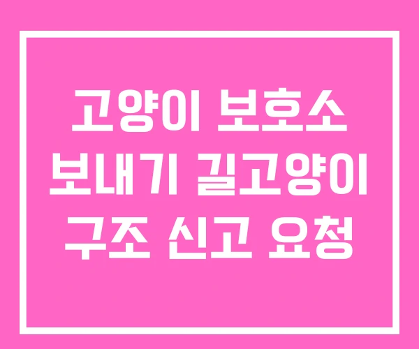 고양이 보호소 보내기 길고양이 구조 신고 요청