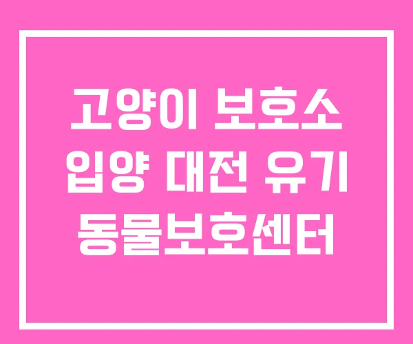 고양이 보호소 입양 대전 유기 동물보호센터 고양이 보호소 입양 대전 유기 동물보호센터