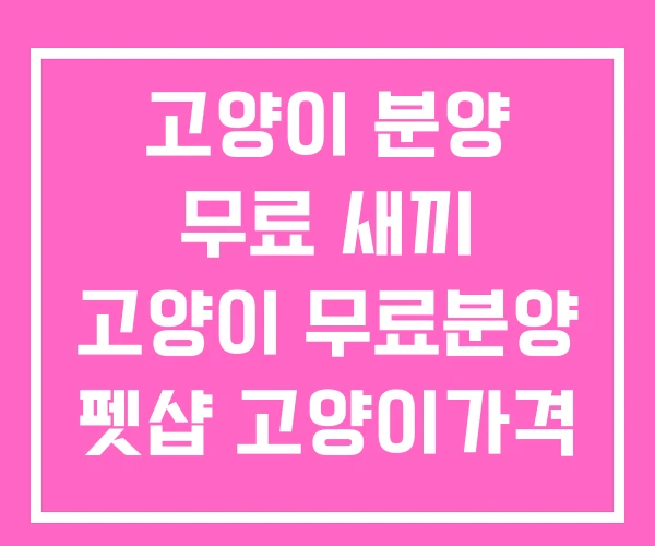 고양이 분양 무료 새끼 고양이 무료분양 펫샵 고양이가격 고양이 분양 무료 새끼 고양이 무료분양 펫샵 고양이가격
