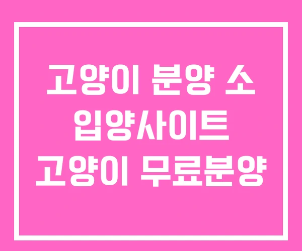 고양이 분양 소 입양사이트 고양이 무료분양 고양이 분양 소 입양사이트 고양이 무료분양