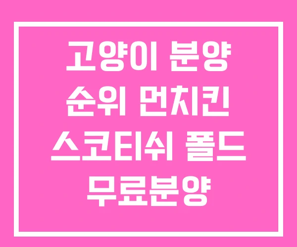 고양이 분양 순위 먼치킨 스코티쉬 폴드 무료분양 고양이 분양 순위 먼치킨 스코티쉬 폴드 무료분양