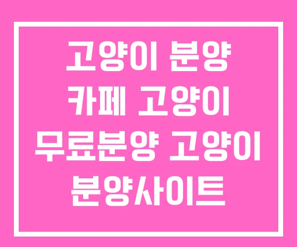 고양이 분양 카페 고양이 무료분양 고양이 분양사이트