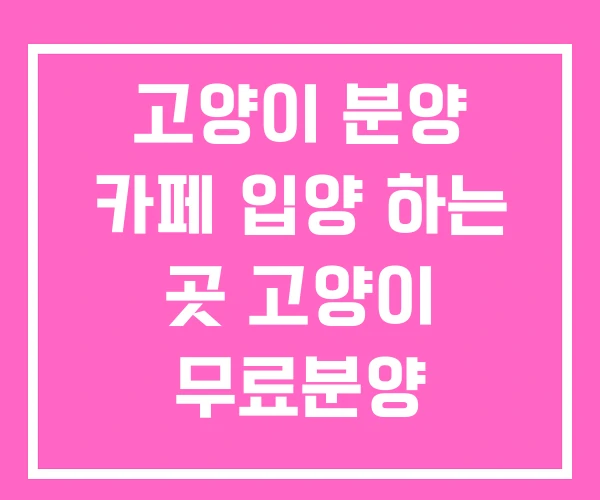 고양이 분양 카페 입양 하는 곳 고양이 무료분양