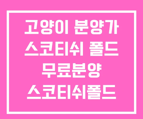 고양이 분양가 스코티쉬 폴드 무료분양 스코티쉬폴드 성격