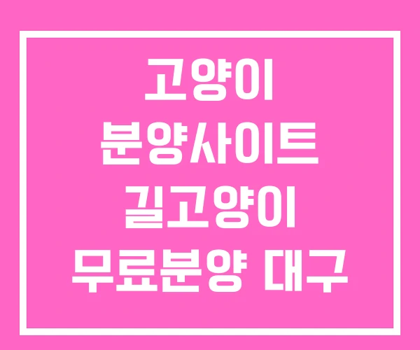 고양이 분양사이트 길고양이 무료분양 대구 고양이