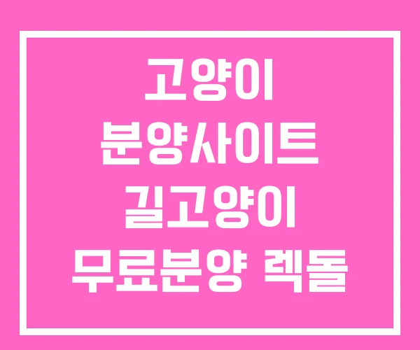 고양이 분양사이트 길고양이 무료분양 렉돌 분양 고양이 분양사이트 길고양이 무료분양 렉돌 분양