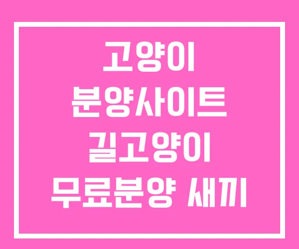 고양이 분양사이트 길고양이 무료분양 새끼 고양이