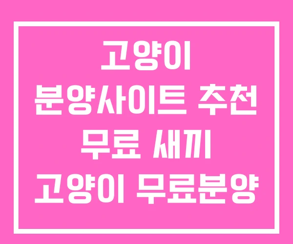 고양이 분양사이트 추천 무료 새끼 고양이 무료분양