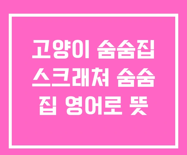 고양이 숨숨집 스크래쳐 숨숨 집 영어로 뜻 고양이 숨숨집 스크래쳐 숨숨 집 영어로 뜻
