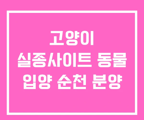 고양이 실종사이트 동물 입양 순천 분양 고양이 실종사이트 동물 입양 순천 분양
