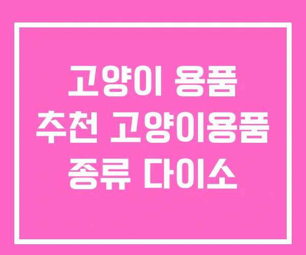 고양이 용품 추천 고양이용품 종류 다이소
