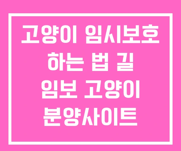 고양이 임시보호 하는 법 길 임보 고양이 분양사이트
