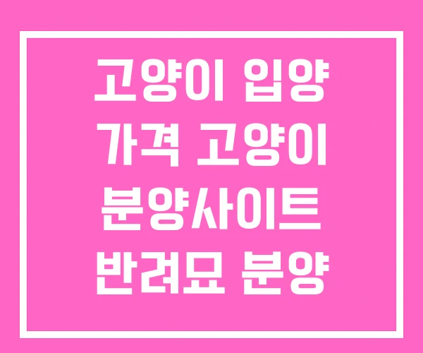 고양이 입양 가격 고양이 분양사이트 반려묘 분양 고양이 입양 가격 고양이 분양사이트 반려묘 분양