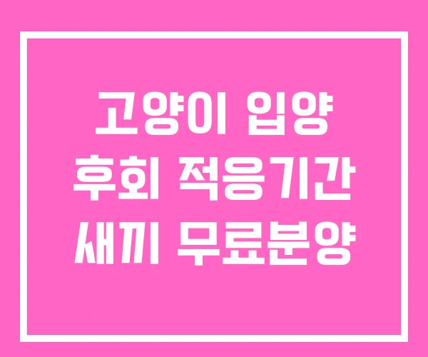 고양이 입양 후회 적응기간 새끼 무료분양 고양이 입양 후회 적응기간 새끼 무료분양