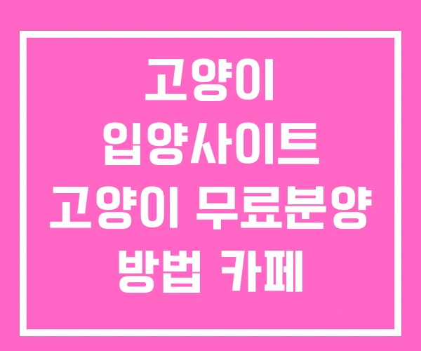 고양이 입양사이트 고양이 무료분양 방법 카페 고양이 입양사이트 고양이 무료분양 방법 카페