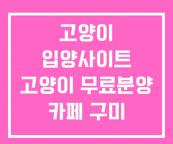고양이 입양사이트 고양이 무료분양 카페 구미 무료분양 고양이 입양사이트 고양이 무료분양 카페 구미 무료분양