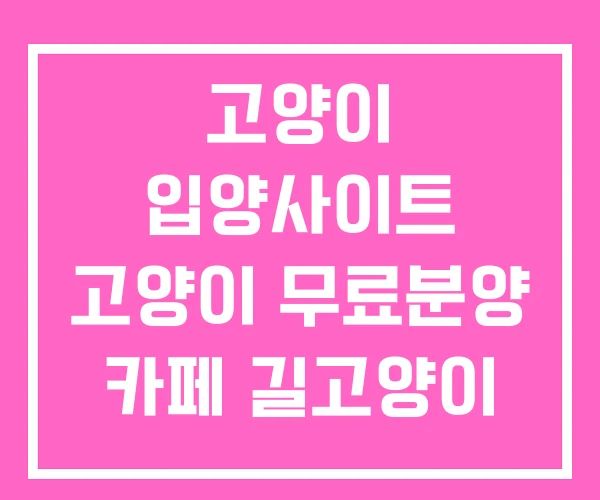 고양이 입양사이트 고양이 무료분양 카페 길고양이 무료분양