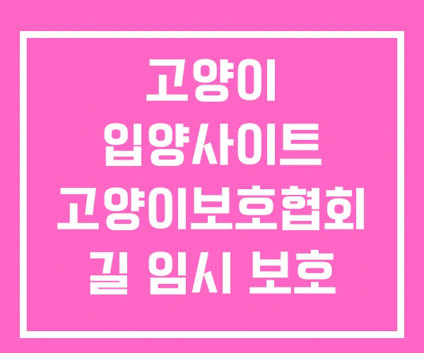 고양이 입양사이트 고양이보호협회 길 임시 보호