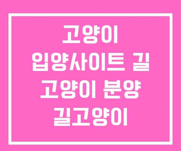 고양이 입양사이트 길 고양이 분양 길고양이 고양이 입양사이트 길 고양이 분양 길고양이