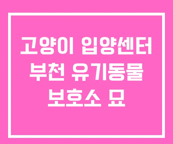고양이 입양센터 부천 유기동물 보호소 묘
