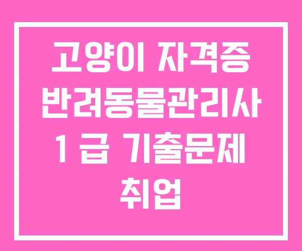고양이 자격증 반려동물관리사 1 급 기출문제 취업 고양이 자격증 반려동물관리사 1 급 기출문제 취업