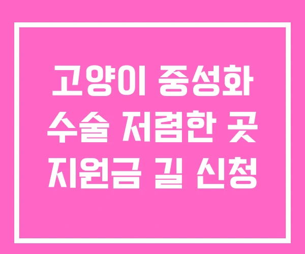 고양이 중성화 수술 저렴한 곳 지원금 길 신청 고양이 중성화 수술 저렴한 곳 지원금 길 신청