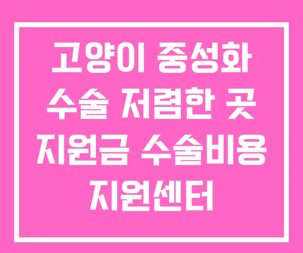 고양이 중성화 수술 저렴한 곳 지원금 수술비용 지원센터 고양이 중성화 수술 저렴한 곳 지원금 수술비용 지원센터