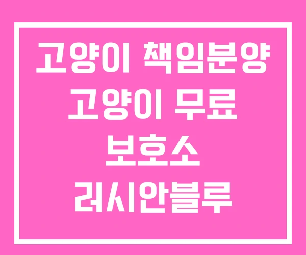 고양이 책임분양 고양이 무료 보호소 러시안블루 가정분양 고양이 책임분양 고양이 무료 보호소 러시안블루 가정분양