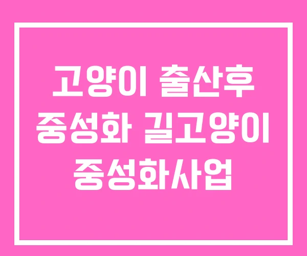 고양이 출산후 중성화 길고양이 중성화사업 고양이 출산후 중성화 길고양이 중성화사업