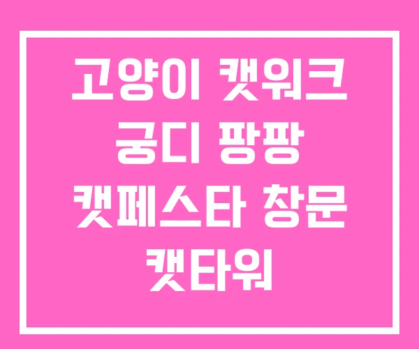 고양이 캣워크 궁디 팡팡 캣페스타 창문 캣타워 고양이 캣워크 궁디 팡팡 캣페스타 창문 캣타워