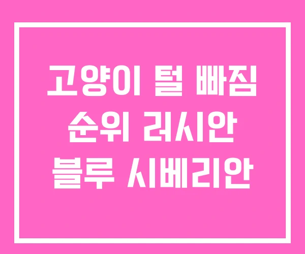 고양이 털 빠짐 순위 러시안 블루 시베리안 고양이 털 빠짐 순위 러시안 블루 시베리안