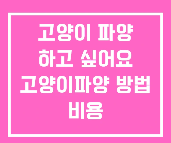 고양이 파양 하고 싶어요 고양이파양 방법 비용 고양이 파양 하고 싶어요 고양이파양 방법 비용