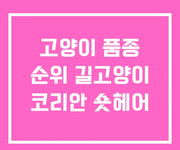 고양이 품종 순위 길고양이 코리안 숏헤어 고양이 품종 순위 길고양이 코리안 숏헤어