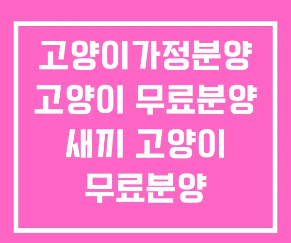 고양이가정분양 고양이 무료분양 새끼 고양이 무료분양 고양이가정분양 고양이 무료분양 새끼 고양이 무료분양