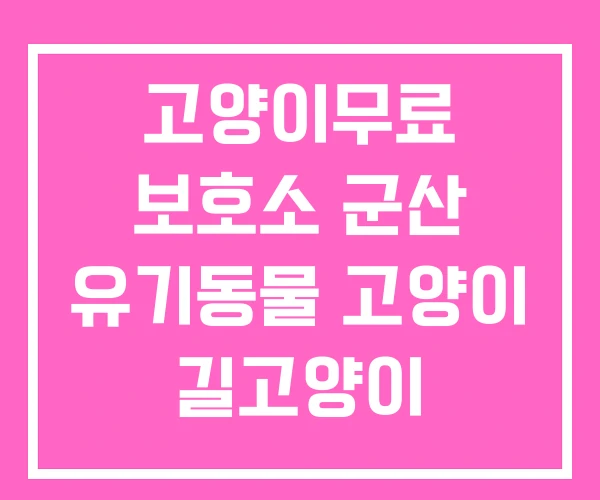 고양이무료 보호소 군산 유기동물 고양이 길고양이 고양이무료 보호소 군산 유기동물 고양이 길고양이