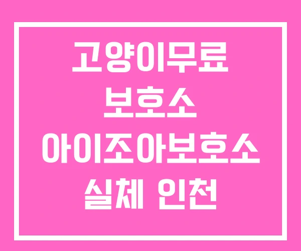 고양이무료 보호소 아이조아보호소 실체 인천 고양이 고양이무료 보호소 아이조아보호소 실체 인천 고양이