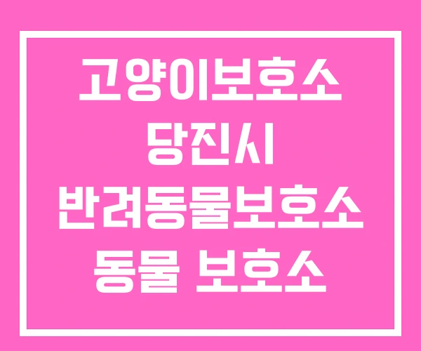 고양이보호소 당진시 반려동물보호소 동물 보호소 입양