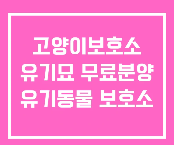 고양이보호소 유기묘 무료분양 유기동물 보호소