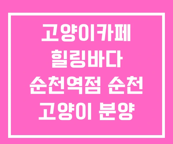 고양이카페 힐링바다 순천역점 순천 고양이 분양 카페 고양이카페 힐링바다 순천역점 순천 고양이 분양 카페