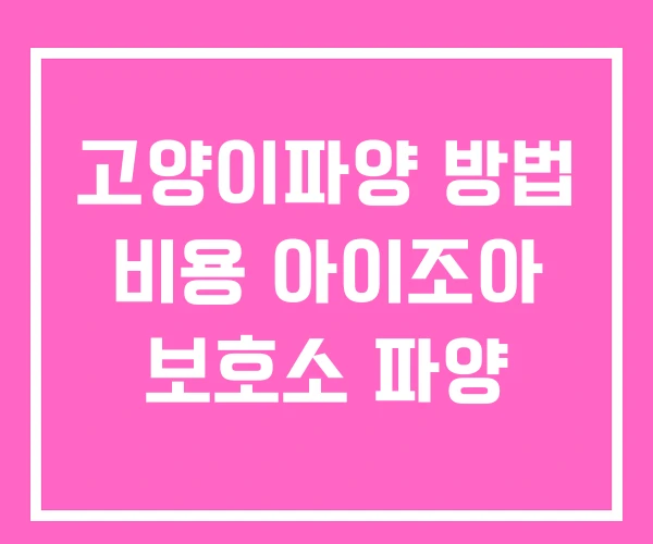 고양이파양 방법 비용 아이조아 보호소 파양 고양이파양 방법 비용 아이조아 보호소 파양