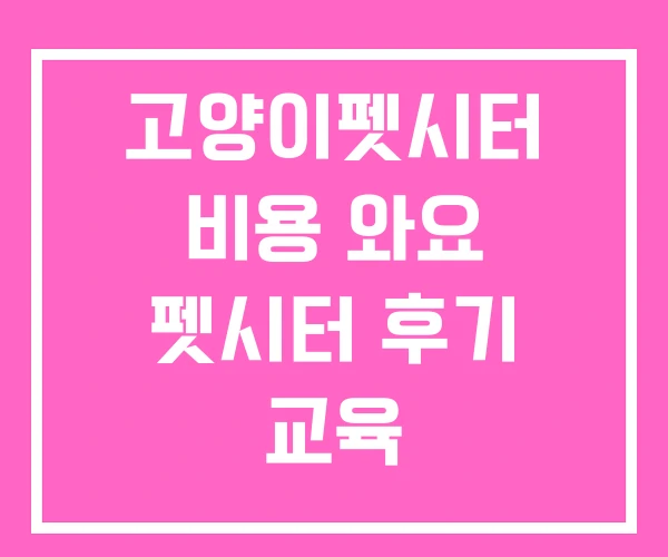 고양이펫시터 비용 와요 펫시터 후기 교육 고양이펫시터 비용 와요 펫시터 후기 교육