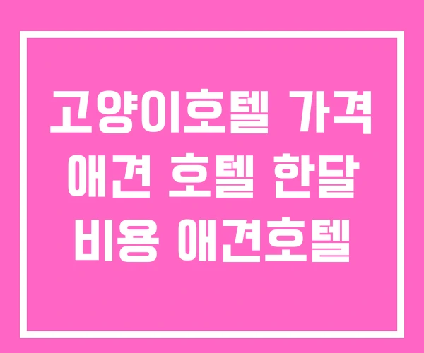 고양이호텔 가격 애견 호텔 한달 비용 애견호텔 고양이호텔 가격 애견 호텔 한달 비용 애견호텔