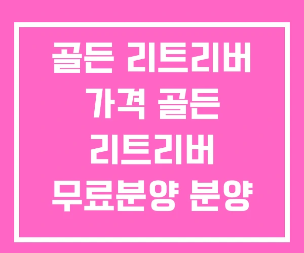 골든 리트리버 가격 골든 리트리버 무료분양 분양 골든 리트리버 가격 골든 리트리버 무료분양 분양