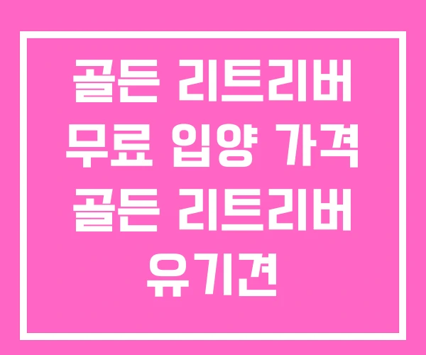 골든 리트리버 무료 입양 가격 골든 리트리버 유기견 골든 리트리버 무료 입양 가격 골든 리트리버 유기견