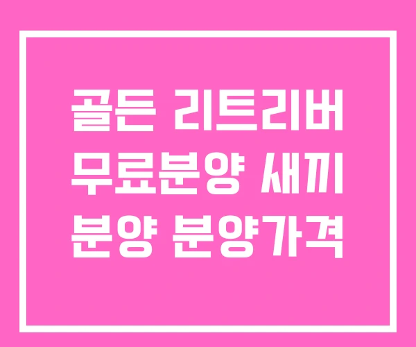 골든 리트리버 무료분양 새끼 분양 분양가격