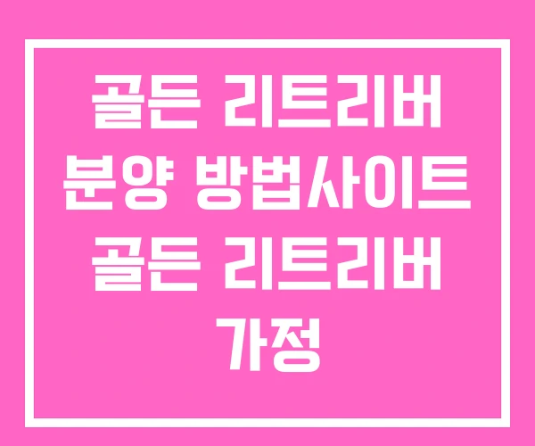 골든 리트리버 분양 방법사이트 골든 리트리버 가정 골든 리트리버 분양 방법사이트 골든 리트리버 가정